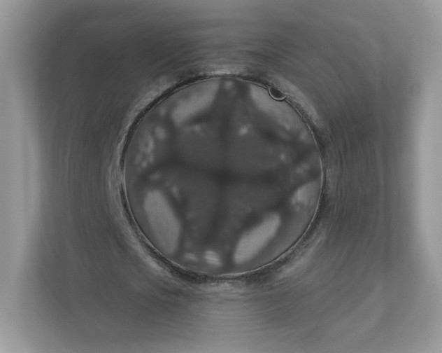 X0000111590721200907301425