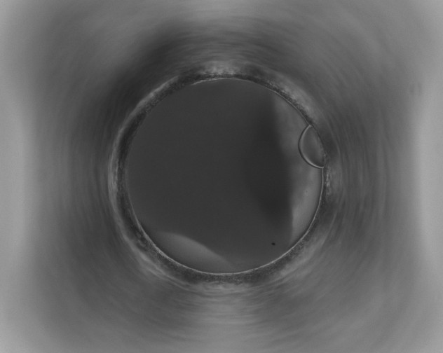 X0000111590722200907301425