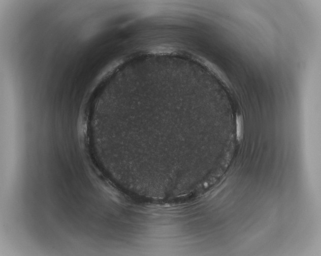 X0000111590723200907301425