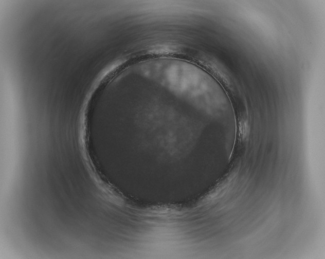 X0000111590724200907301425