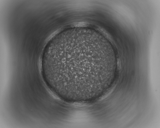 X0000111590725200907301425