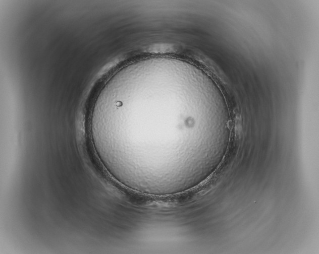 X0000111590727200907301426