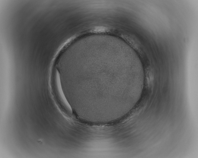 X0000111590728200907301426