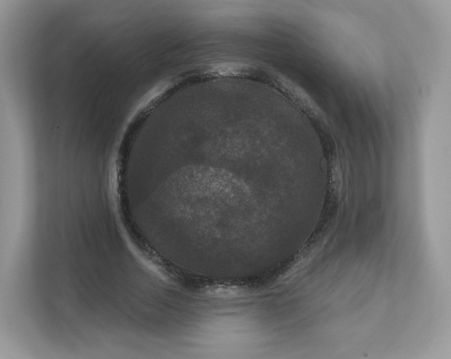 X0000111590730200907301426