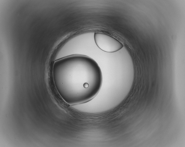 X0000111590732200907301426