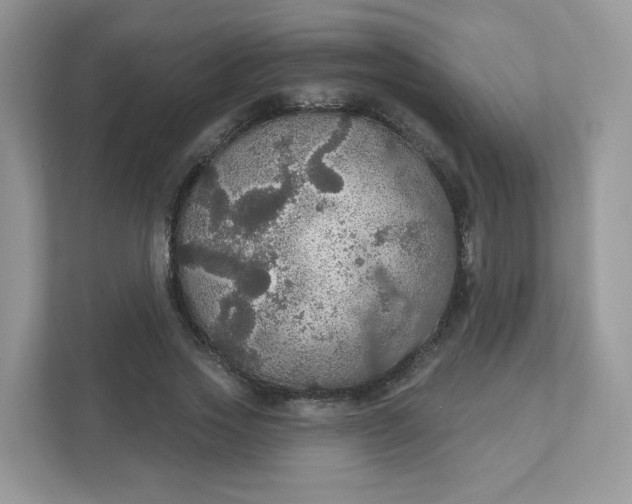 X0000111590733200907301426