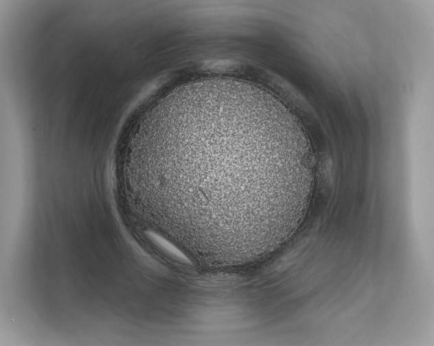 X0000111590734200907301426