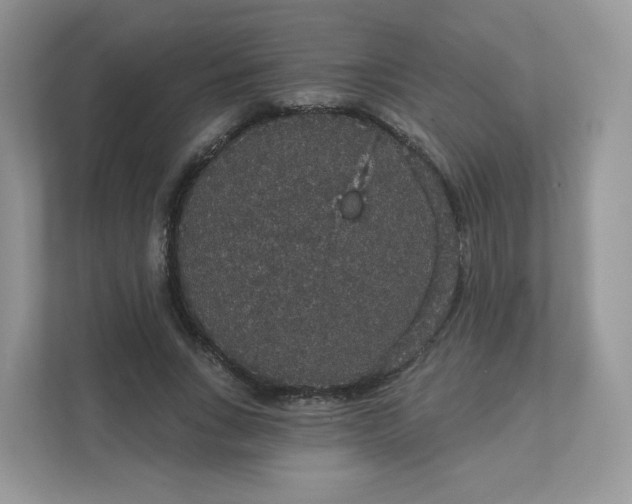 X0000111590735200907301426