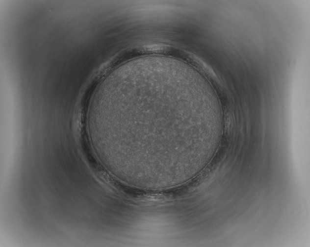 X0000111590736200907301426