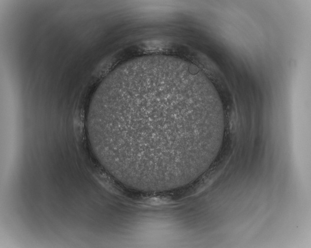 X0000111590737200907301426