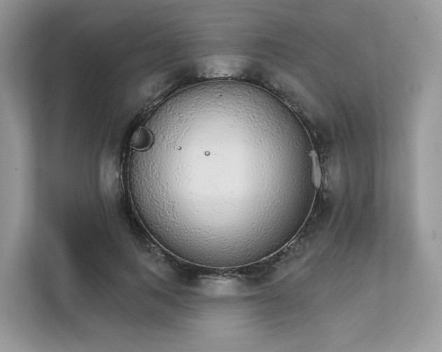 X0000111590743200907301426