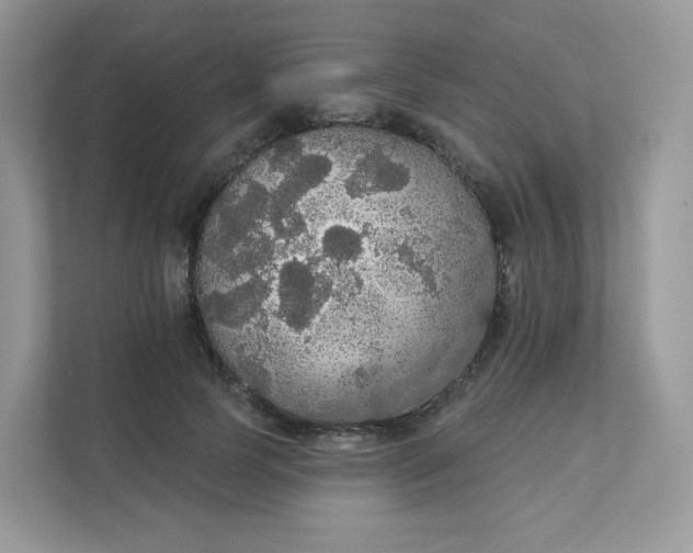 X0000111590745200907301426