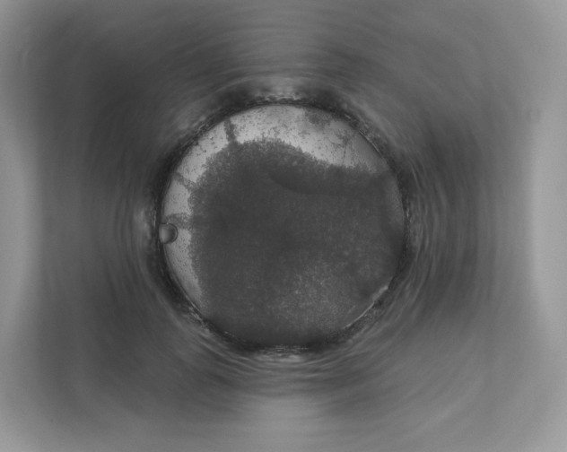 X0000111590747200907301426