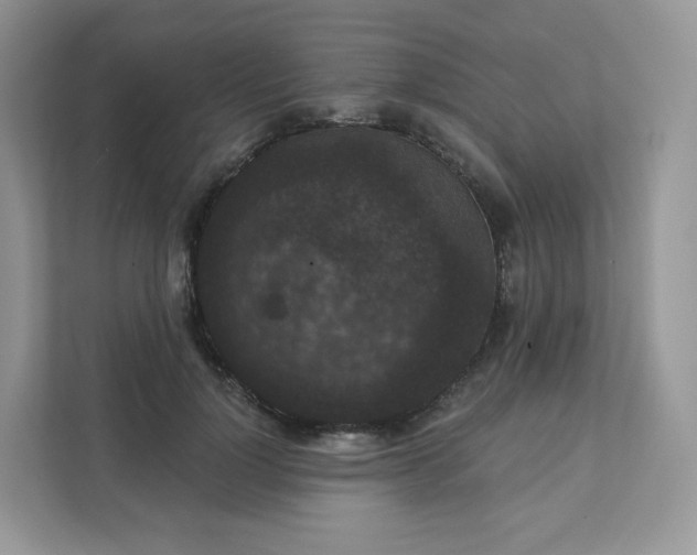 X0000111590748200907301426