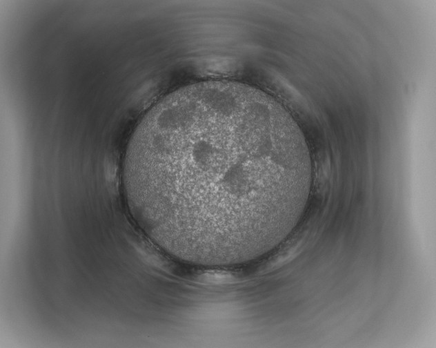 X0000111590749200907301426