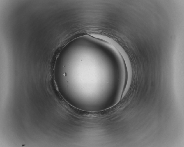 X0000111590751200907301426