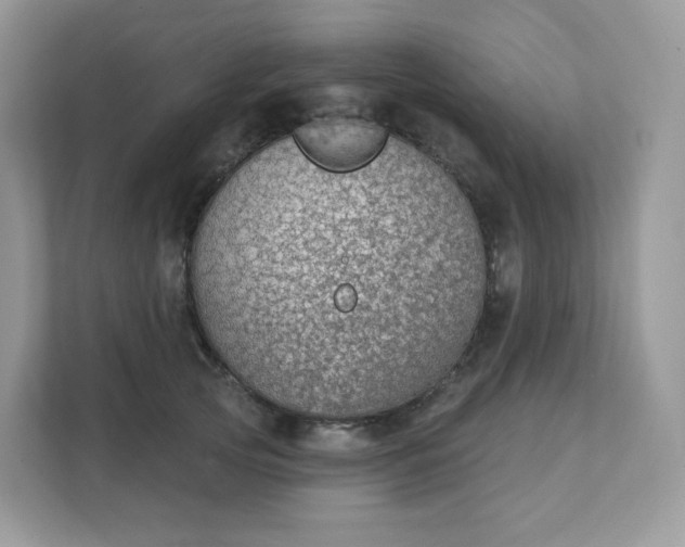 X0000111590753200907301426