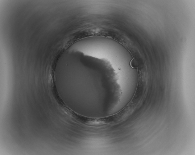 X0000111590754200907301426