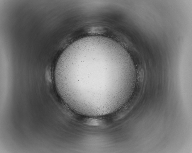 X0000111590755200907301426