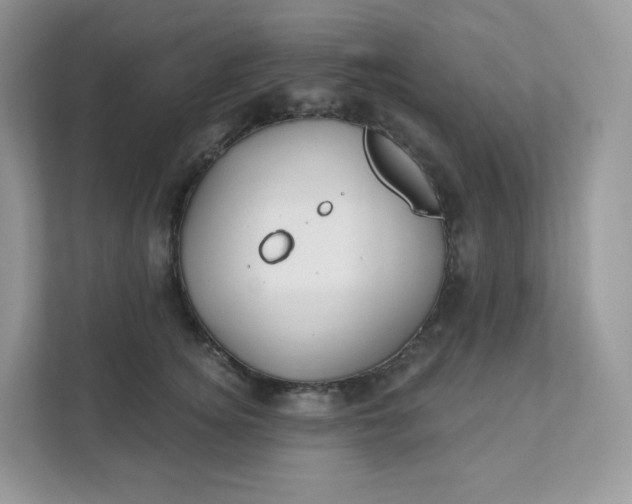 X0000111590756200907301426