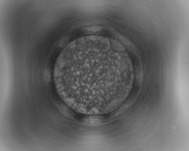 X0000111590758200907301426