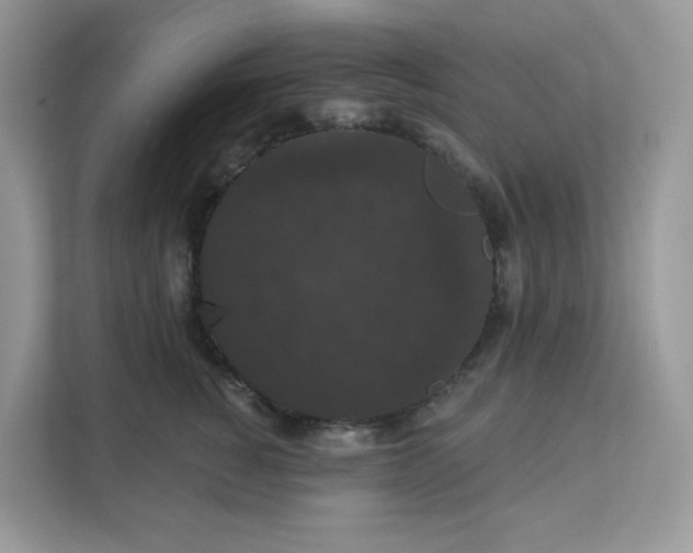 X0000111590760200907301426