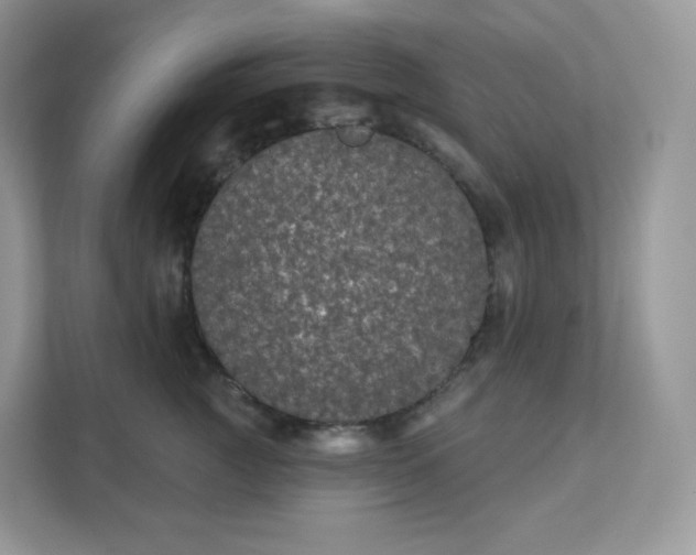 X0000111590761200907301426