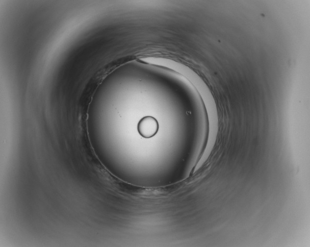 X0000111590762200907301426