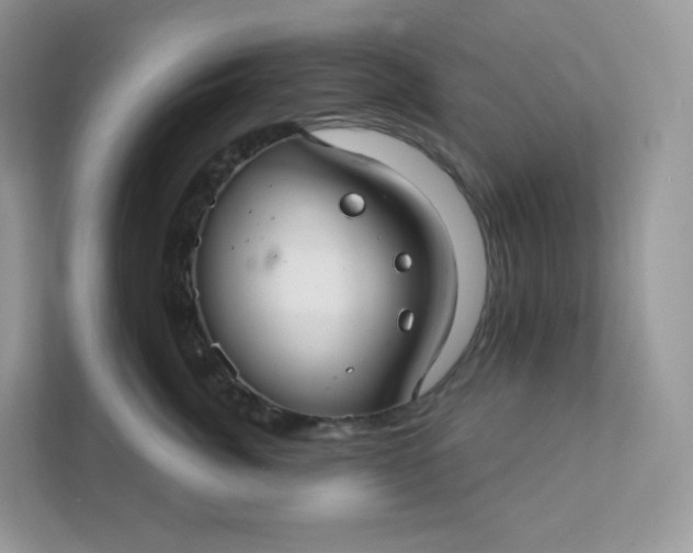 X0000111590764200907301426