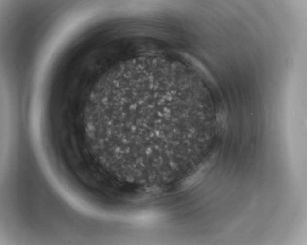 X0000111590765200907301426