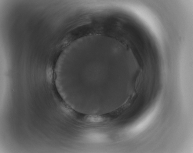 X0000111590767200907301426