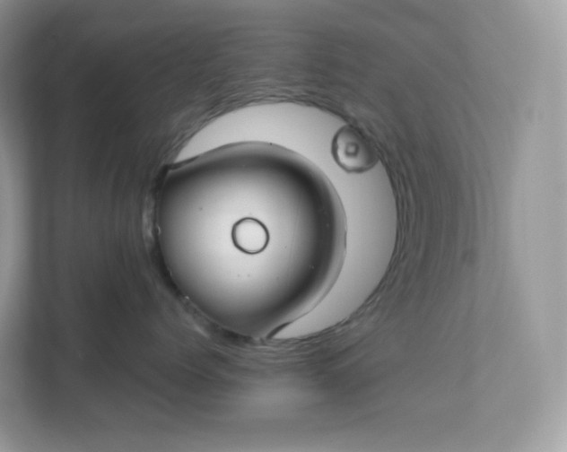 X0000111590768200907301426