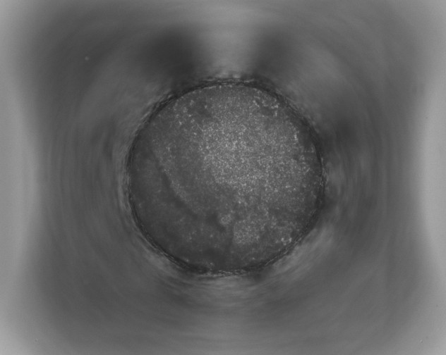 X0000111590769200907301425