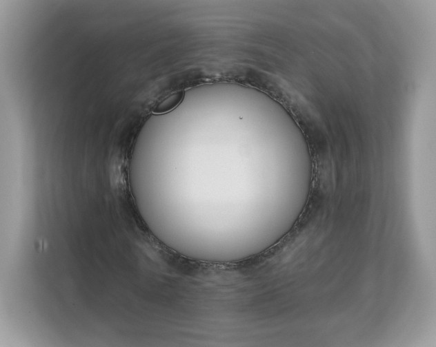 X0000111590770200907301425