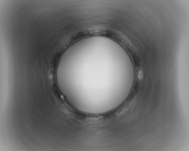 X0000111590771200907301425