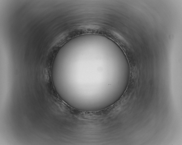 X0000111590774200907301425