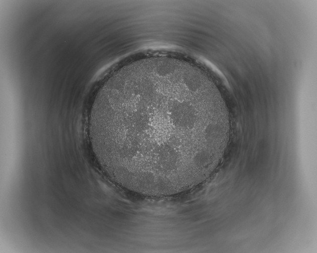 X0000111590775200907301425