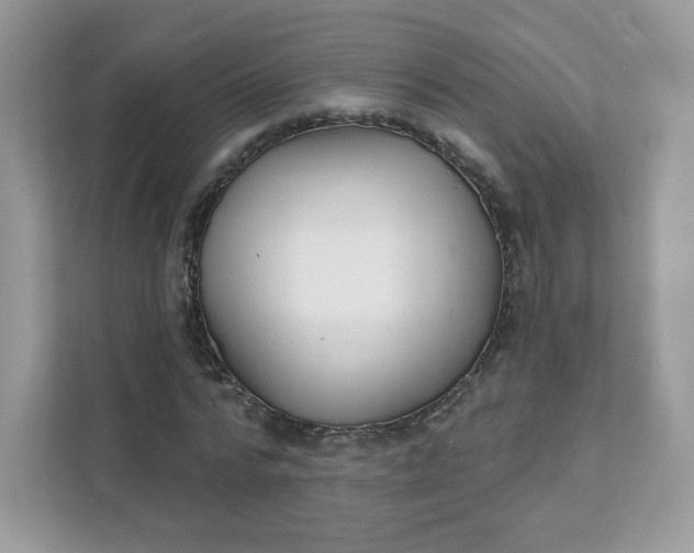 X0000111590776200907301425