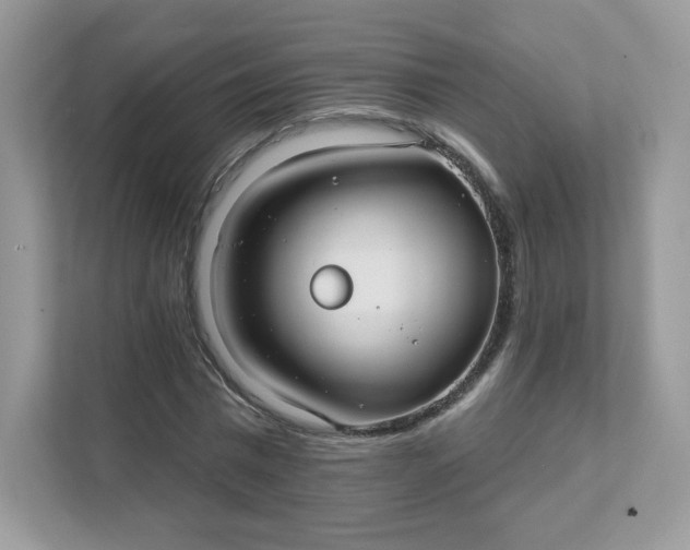 X0000111590777200907301425