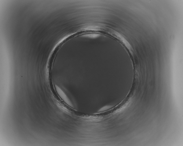 X0000111590779200907301425