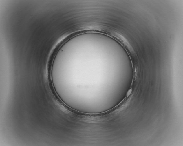 X0000111590780200907301425