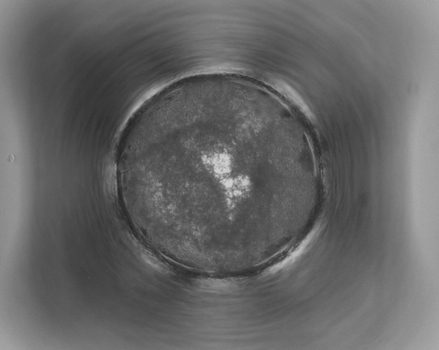 X0000111590781200907301425