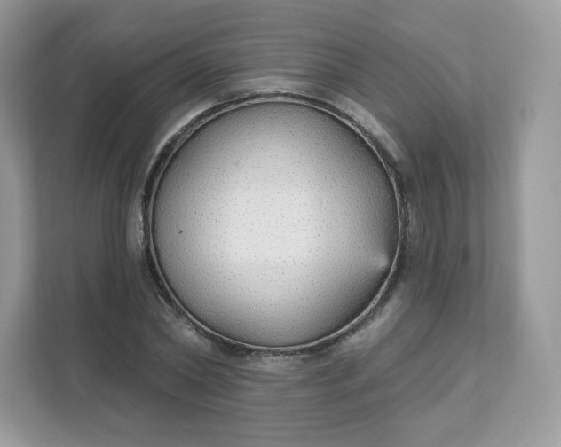 X0000111590782200907301425