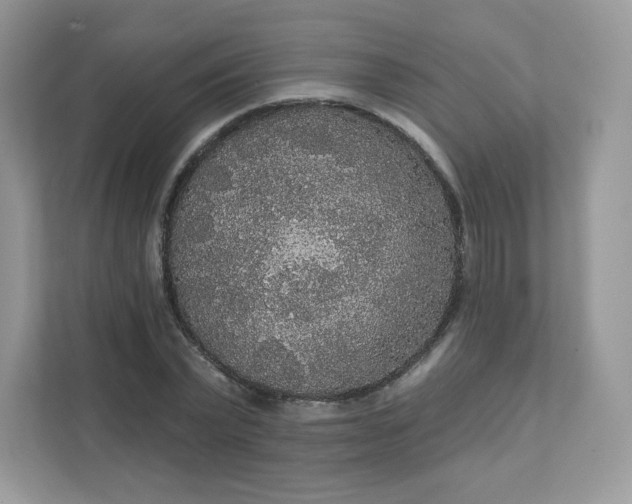 X0000111590783200907301425