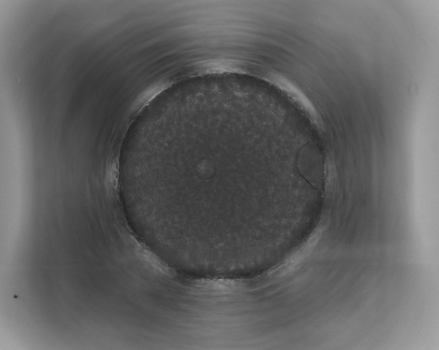 X0000111590785200907301425