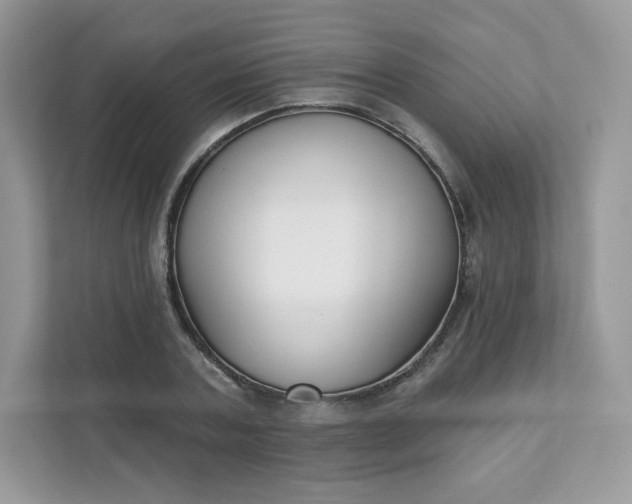 X0000111590787200907301425