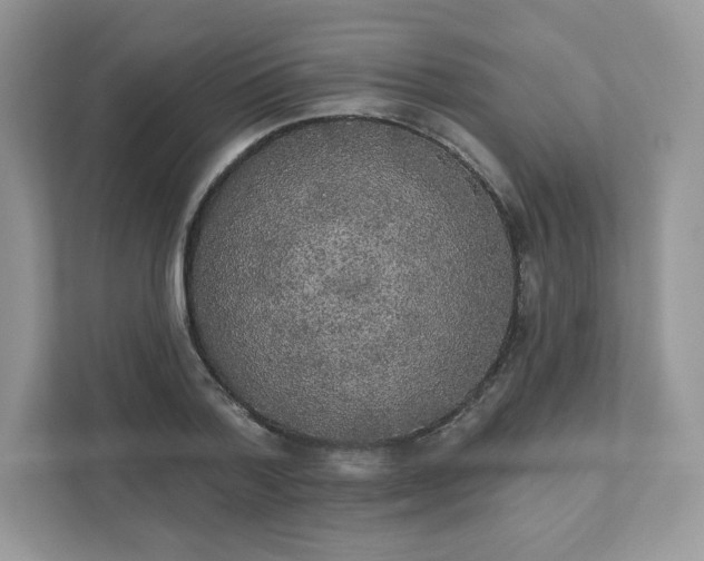 X0000111590788200907301425