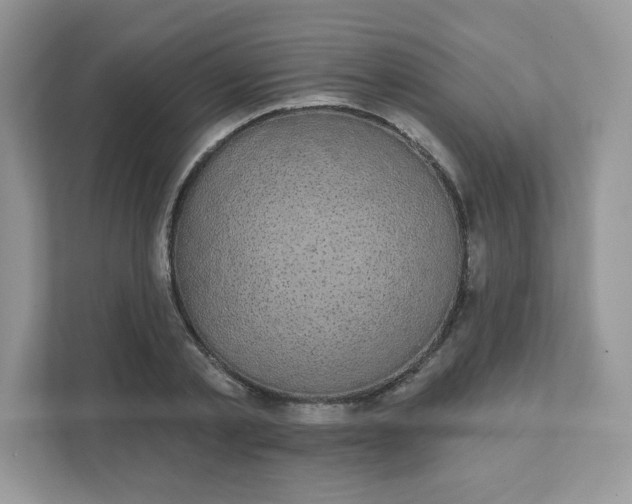 X0000111590789200907301425