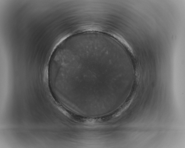 X0000111590790200907301425