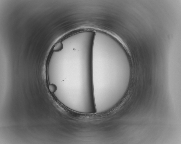 X0000111590791200907301425